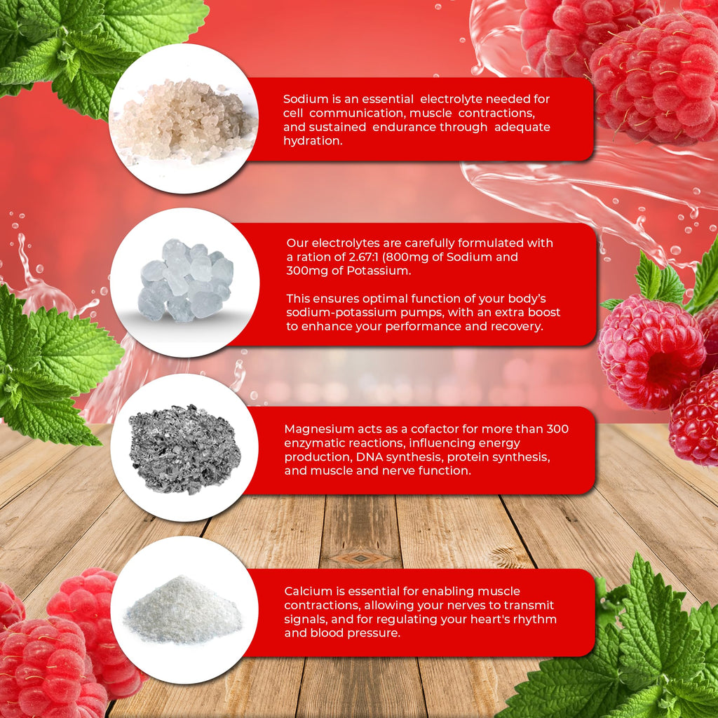 Santa Cruz Paleo Electrolyte Powder | Sugar Free Hydration

