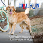 Nutramax Cobalequin B12 for Dogs - Oral Cobalamin Supplement

