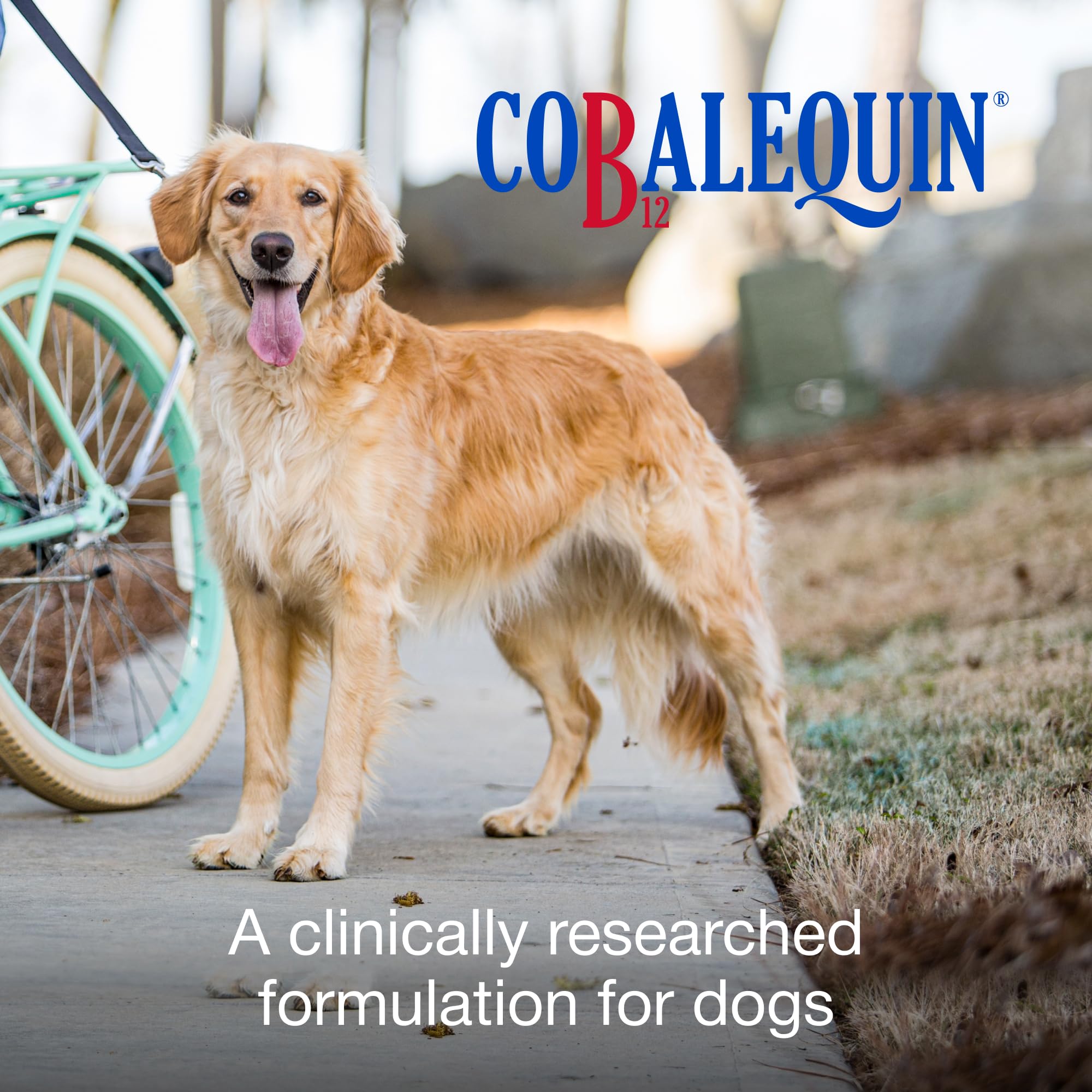 Nutramax Cobalequin B12 for Dogs - Oral Cobalamin Supplement

