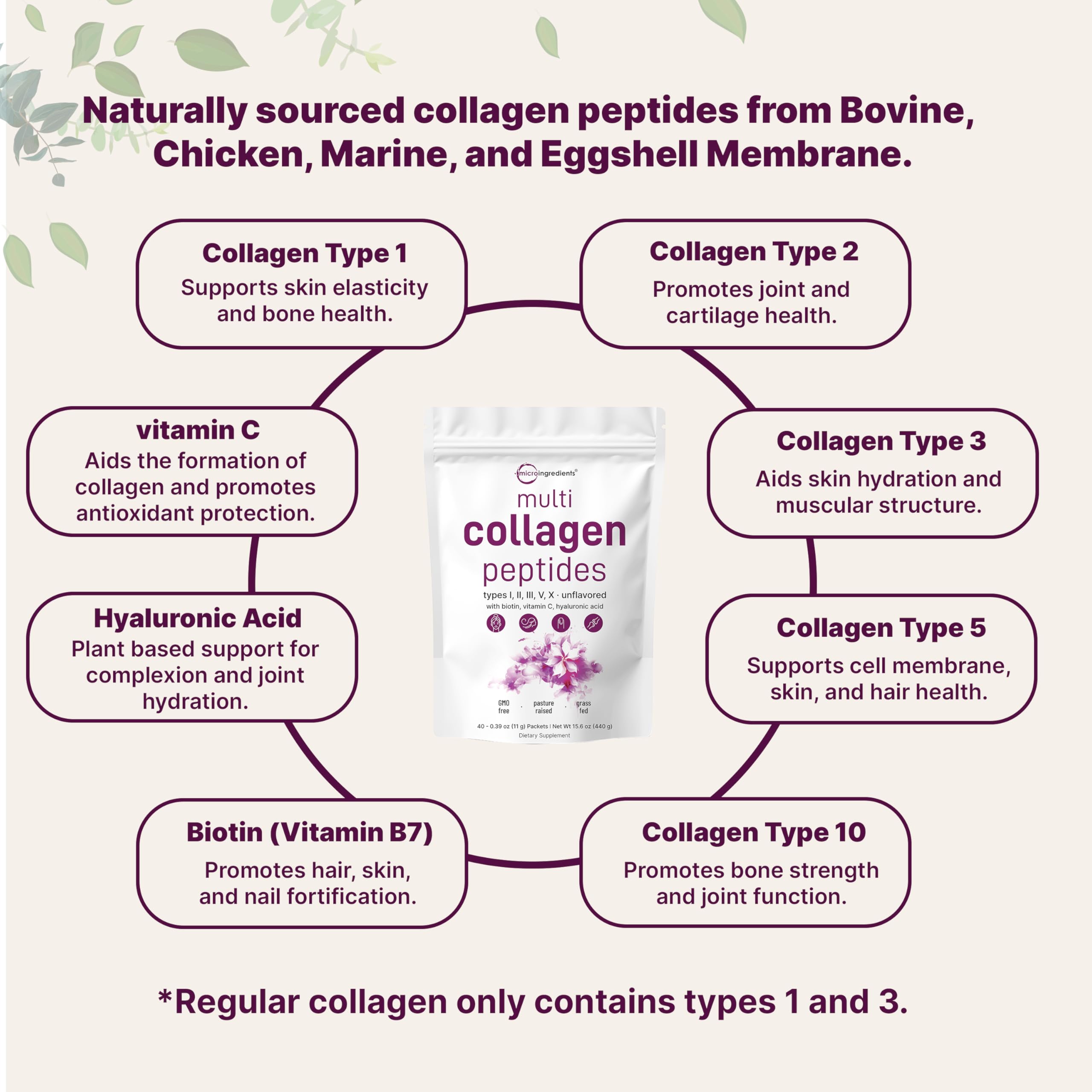 Micro Ingredients Multi Collagen Peptides

