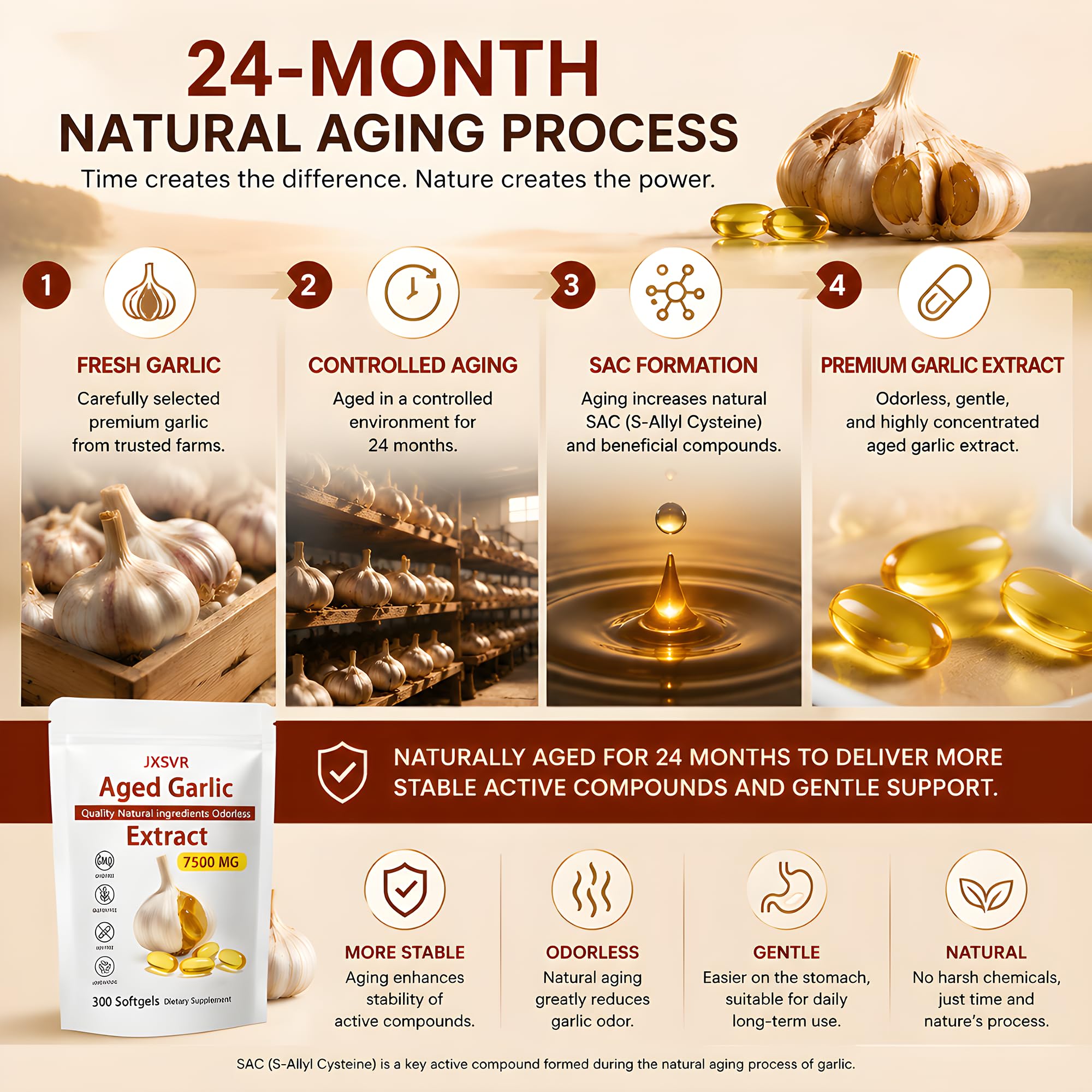 Odorless Garlic Extract Softgels for Heart & Immune Support

