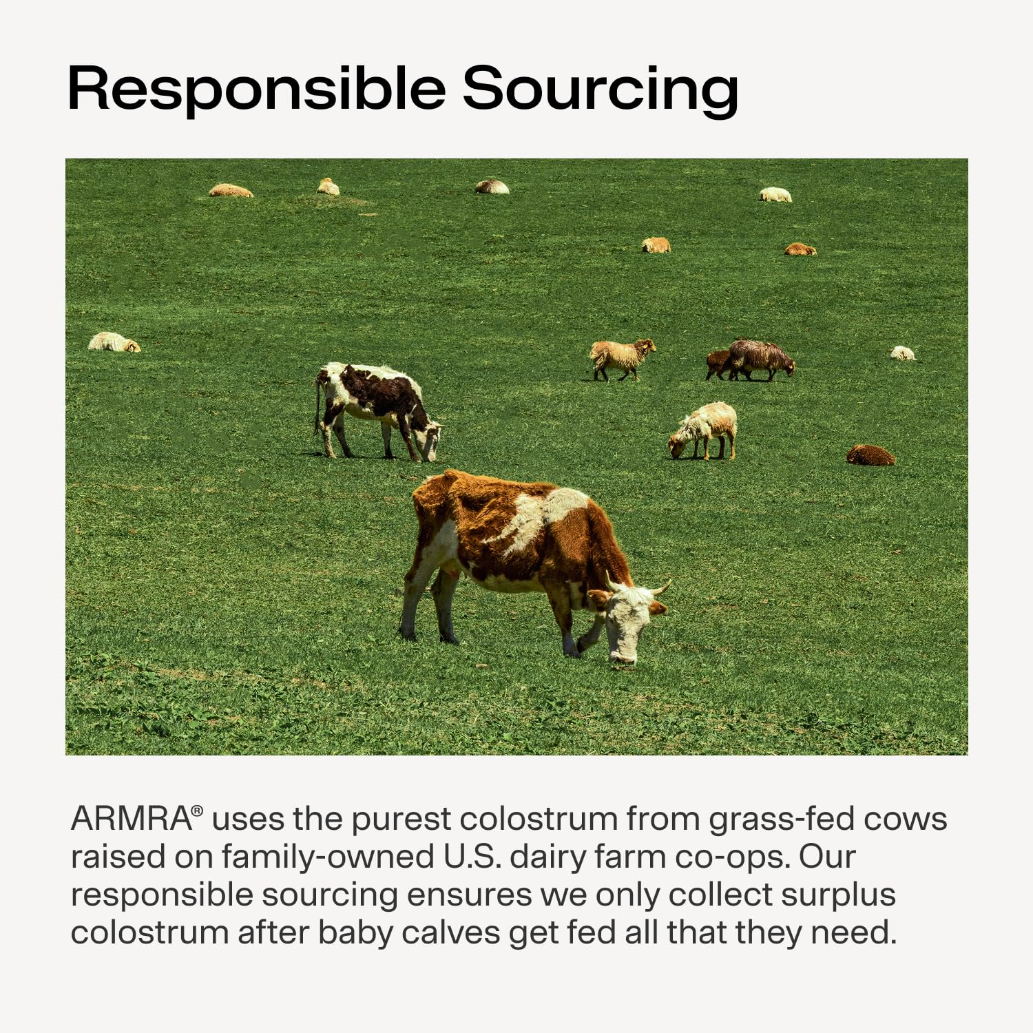 ARMRA Colostrum Powder for Gut Health & Immunity

