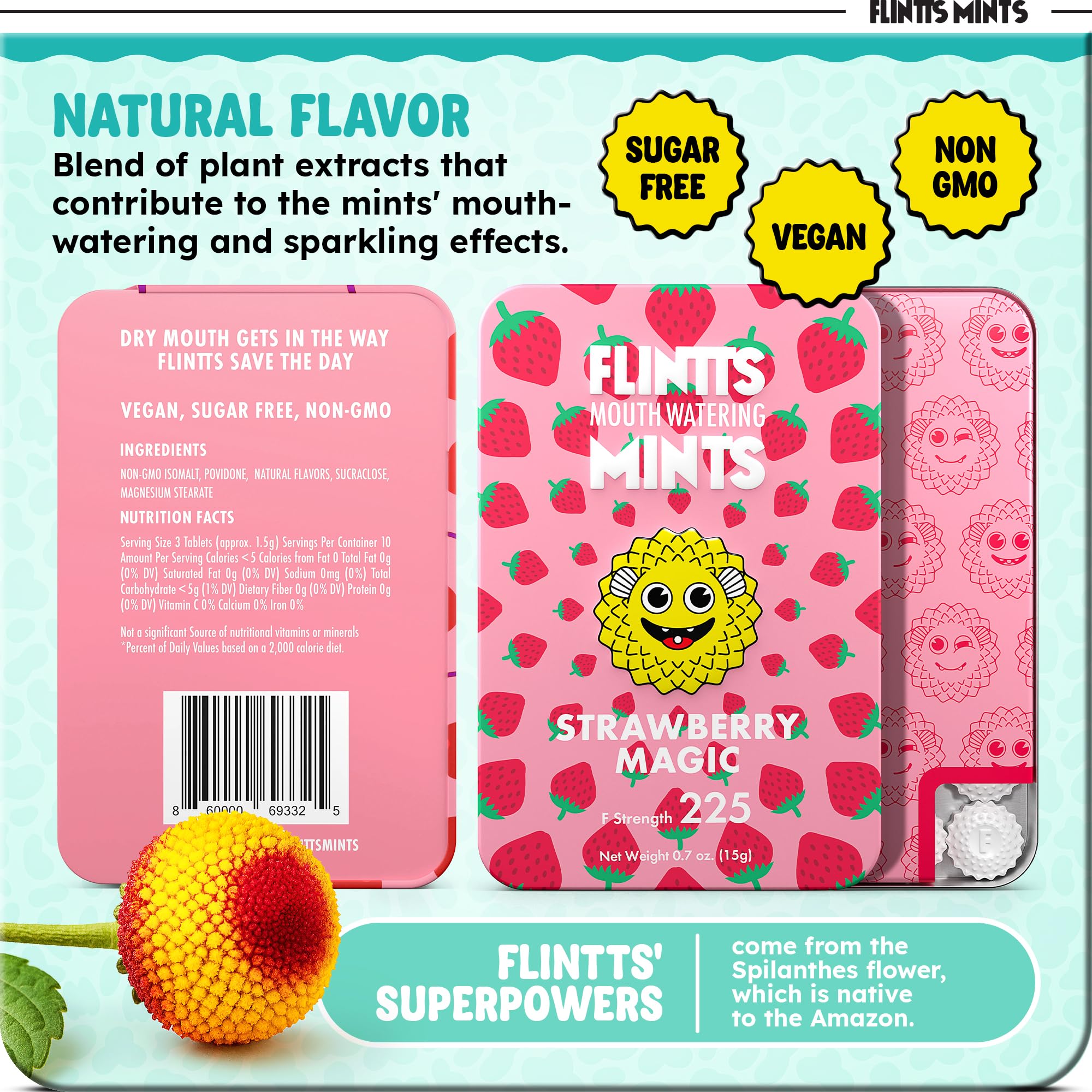 Flintts Mints Sugar Free Vegan Mints for Dry Mouth Relief

