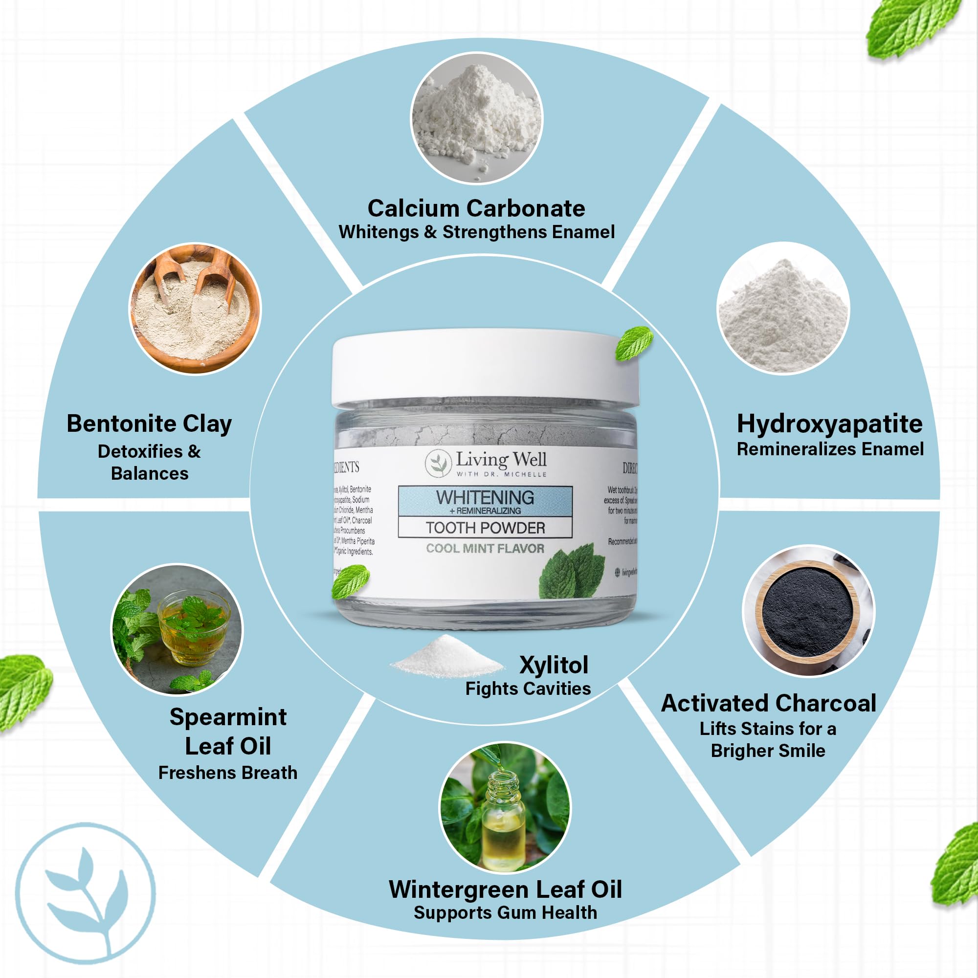 Dr. Michelle Tooth Powder Fluoride-Free Hydroxyapatite Enamel

