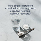 Creatine Monohydrate Powder – Muscle Growth & Performance


