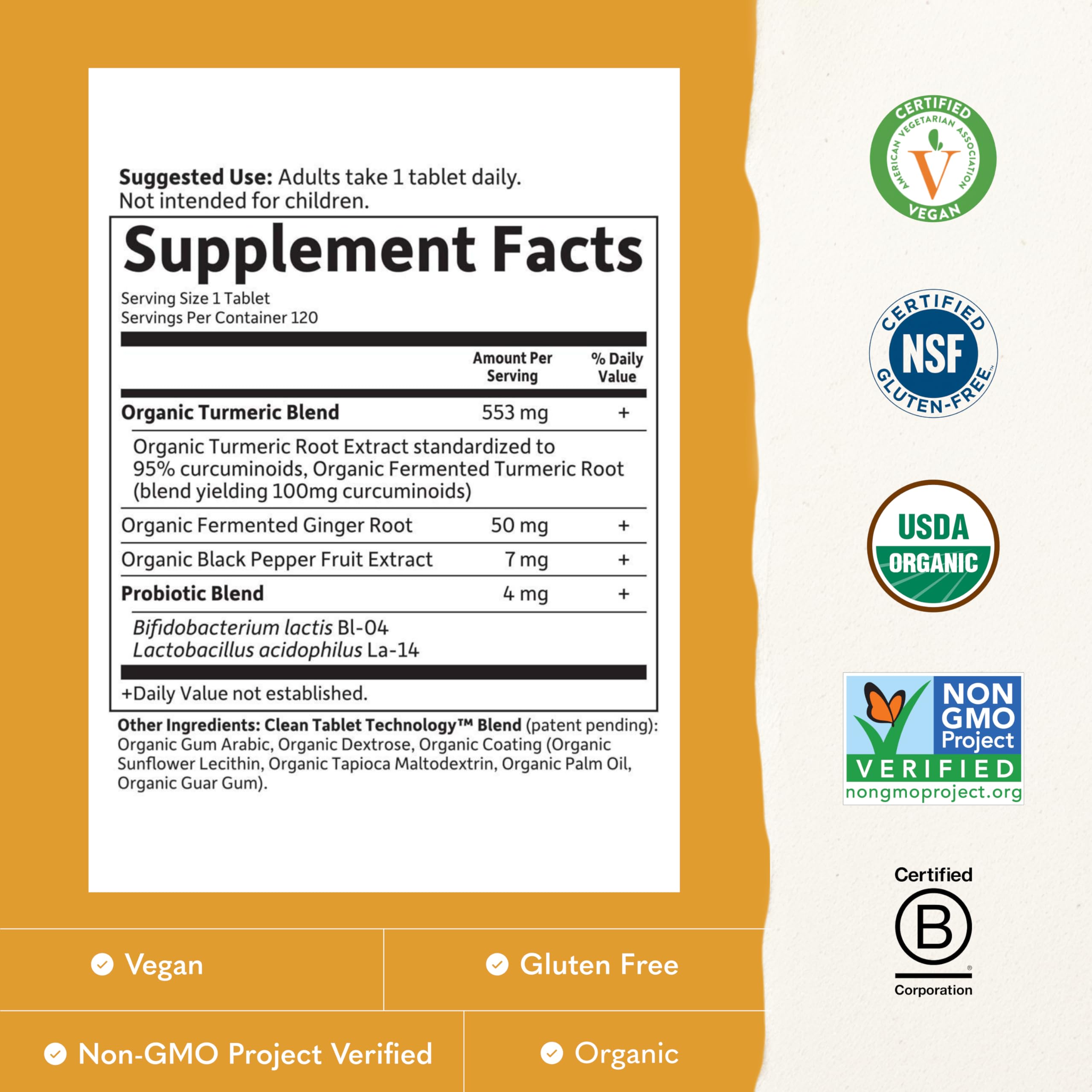 Garden of Life Organic Turmeric with Probiotics – Supplement

