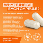 Bio-Kult Everyday Probiotics | 14 Strains for Digestion

