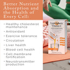 Liposome-Encapsulated Vitamin C Supplement by LivOn Laboratories

