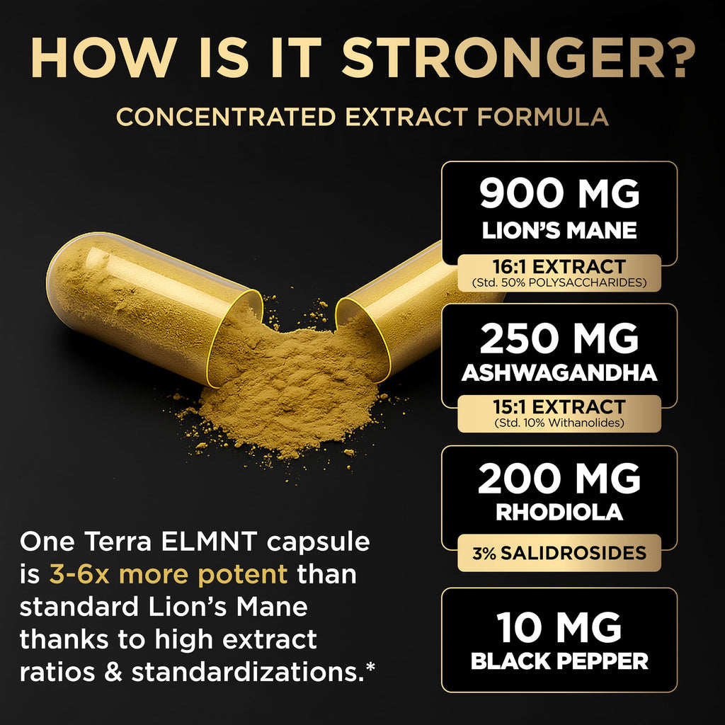 Terra ELMNT Lion's Mane Capsule for Brain Health

