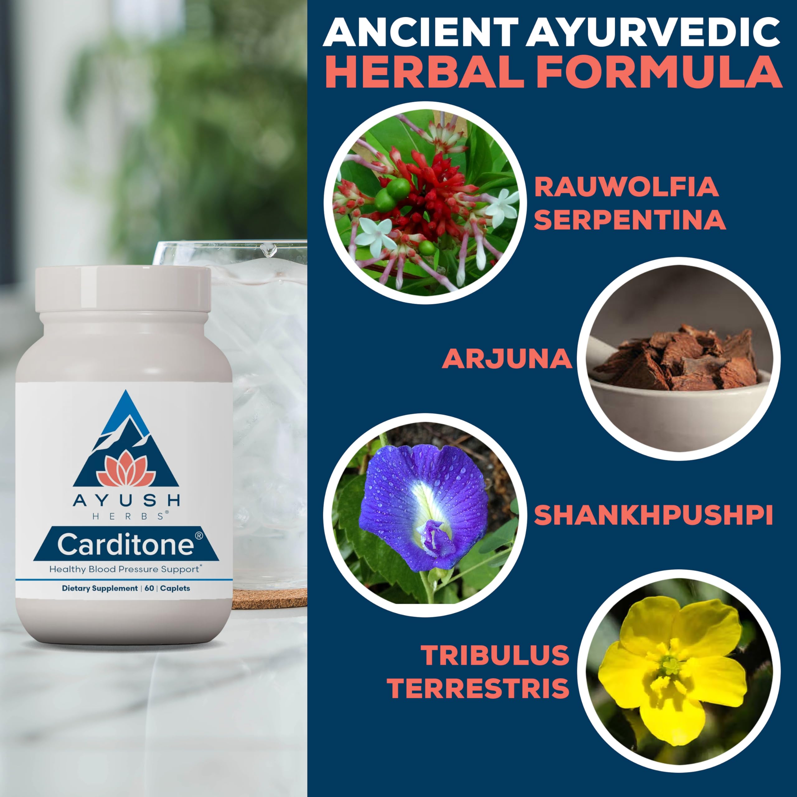 Ayush Herbs Carditone Heart Health Supplement

