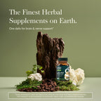 Gaia Herbs Lion's Mane Mushroom Brain Health Support

