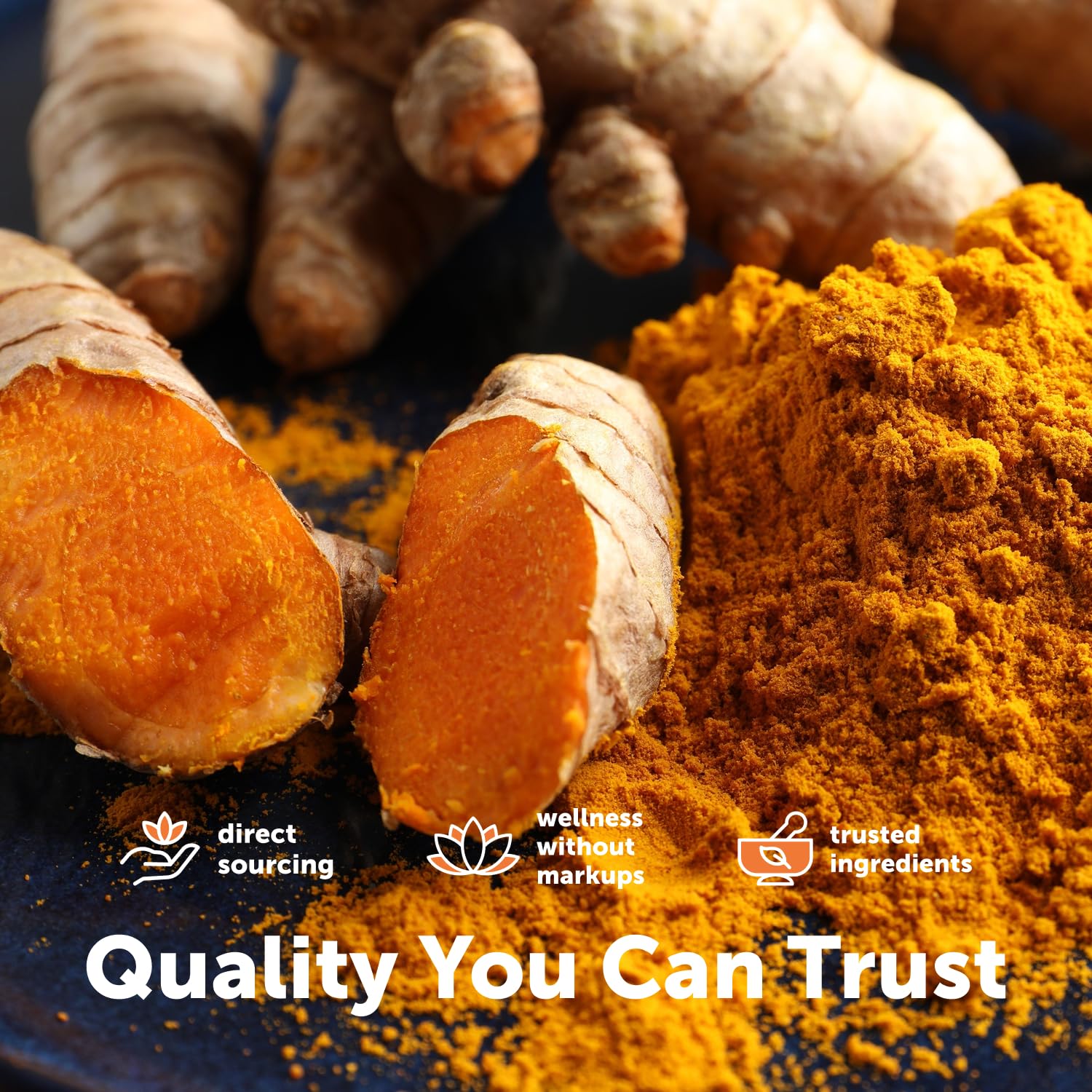 Micro Ingredients Turmeric Curcumin with Black Pepper

