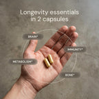 Blueprint Essential Multivitamin Capsule

