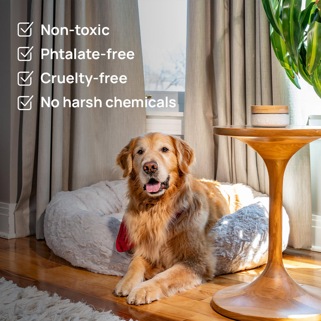 Azuna Air Freshener & Odor Eliminator Kit

