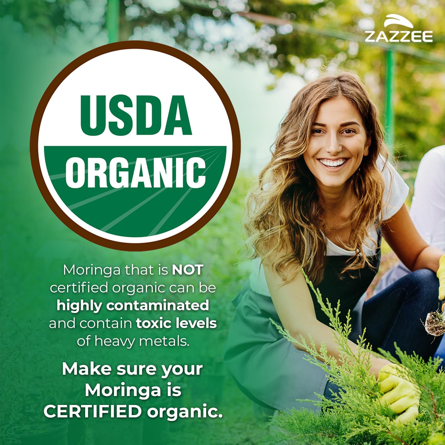 Zazzee USDA Organic Moringa Leaf Extract 20:1

