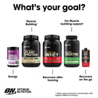 Optimum Nutrition Amino Energy Pre-Workout Powder

