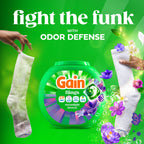 Gain Flings Laundry Detergent Pods Odor Defense + Color Guard

