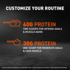 Body Fortress Whey Protein Powder – Premium Gluten-Free

