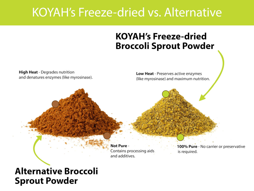 KOYAH Broccoli Sprout Powder | Easy Nutrition

