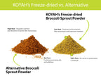 KOYAH Broccoli Sprout Powder | Easy Nutrition

