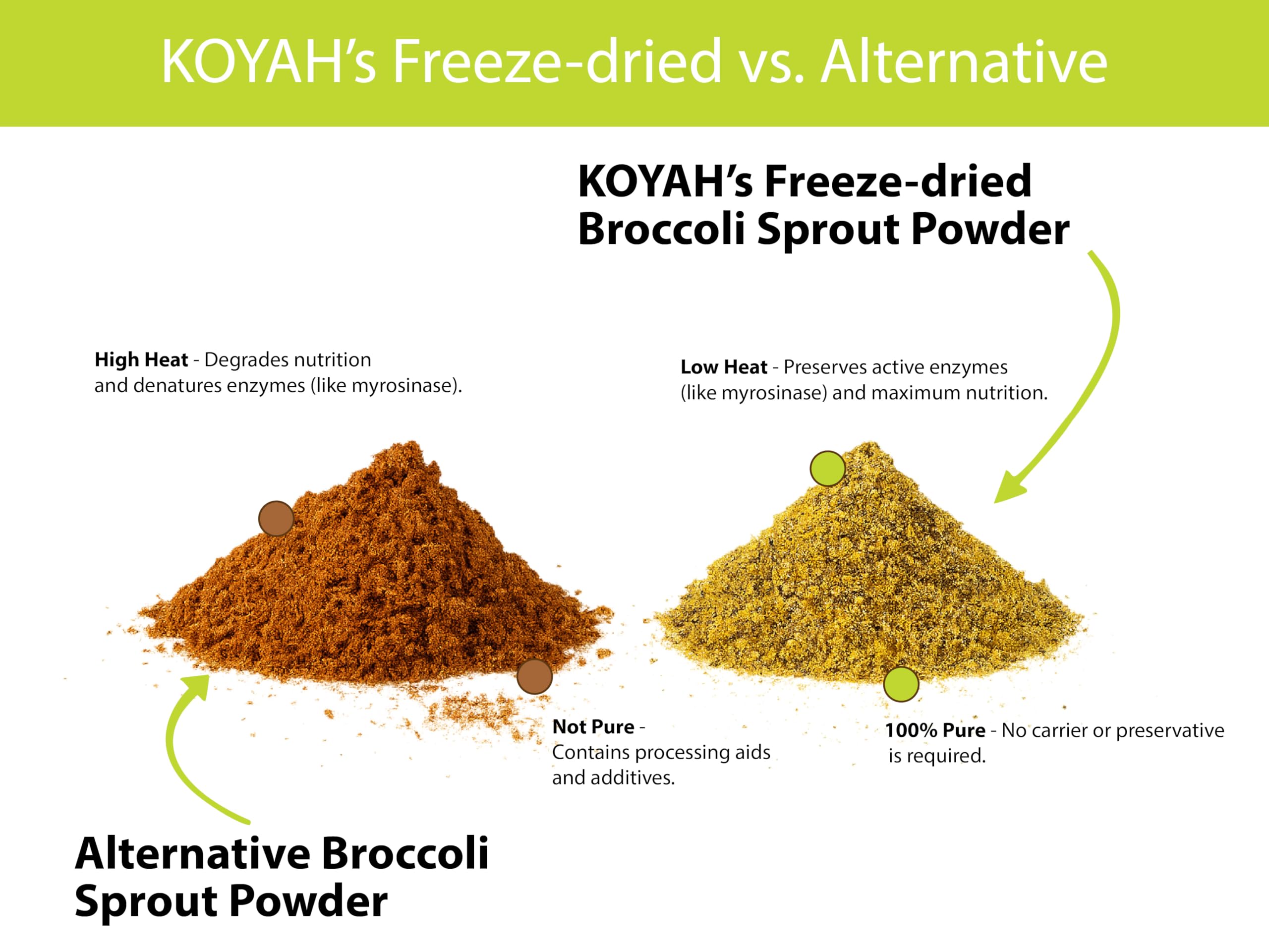 KOYAH Broccoli Sprout Powder | Easy Nutrition

