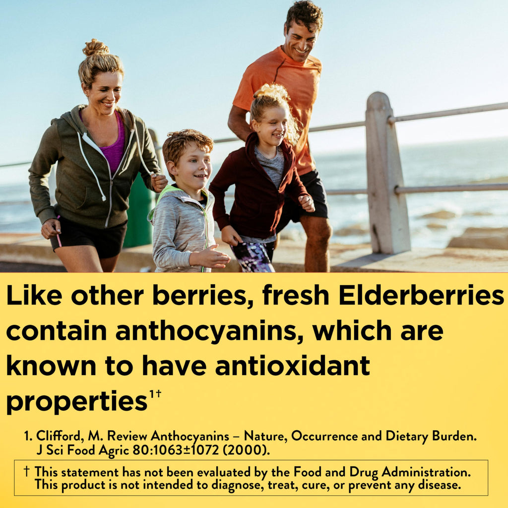 Nature Made Elderberry Gummies for Immune Support


