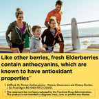 Nature Made Elderberry Gummies for Immune Support

