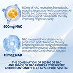 NAC 600mg Supplement Capsules with NAD+ for Lung Health

