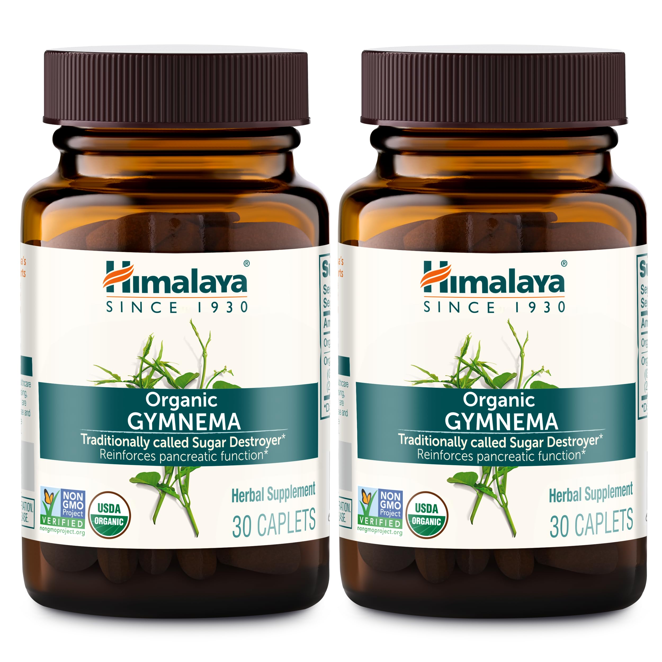 Himalaya Gymnema Sylvestre Extract 700mg Organic Ayurvedic Supplement