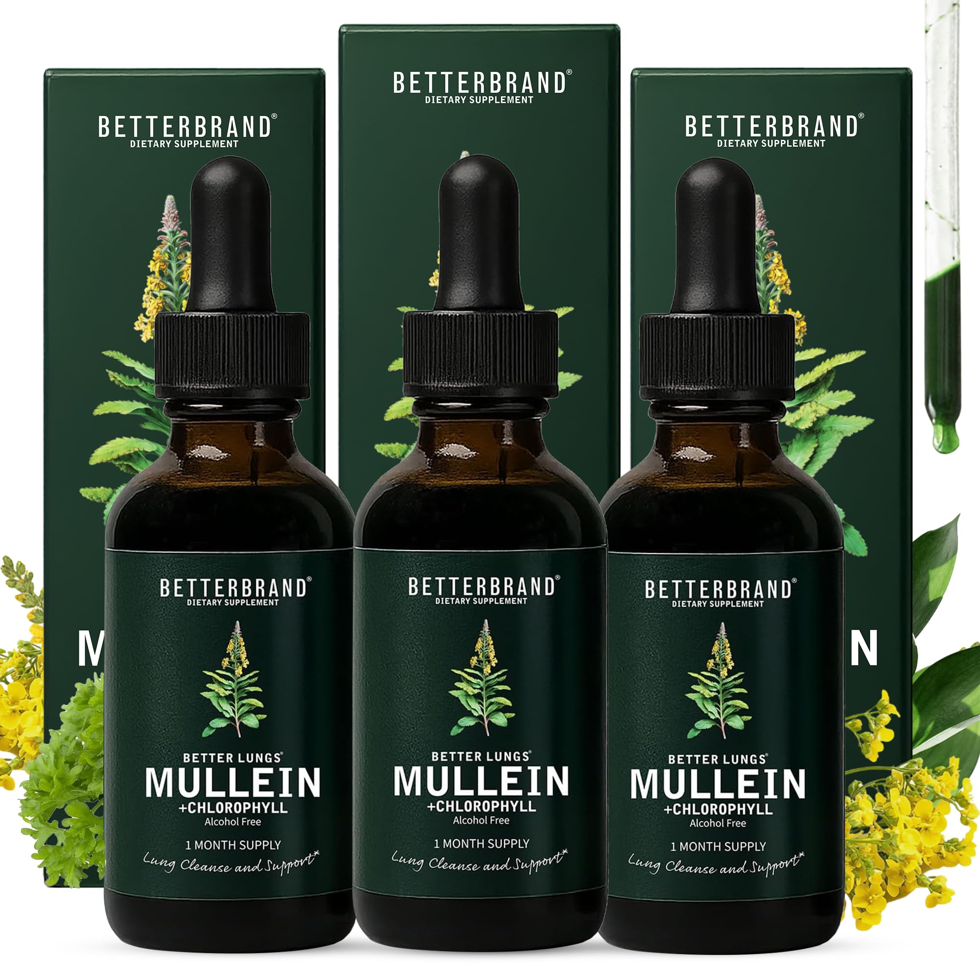 Betterbrand Mullein Drops for Lung Detox - Alcohol-Free Mullein Leaf Tincture