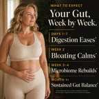 GLPLUS+ GLP-1 Digestive Synbiotic Supplement

