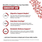 Sangluco Berberine Cinnamon Chromium Supplement

