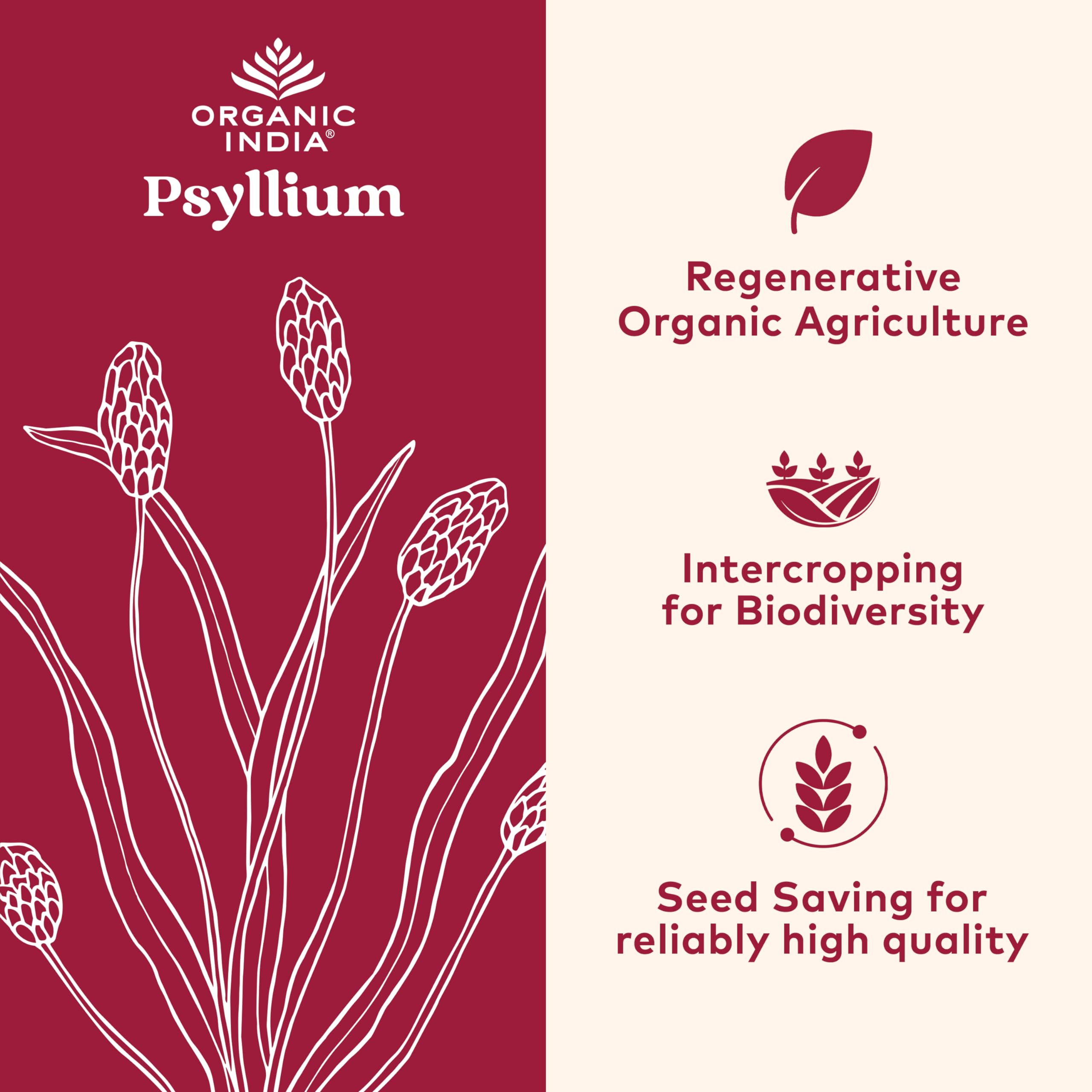 Organic India Psyllium Fiber Supplement for Digestion

