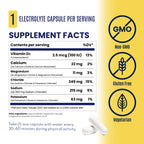 SaltStick Electrolyte Capsules with Vitamin D for Hydration

