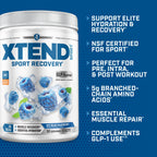 XTEND BCAA Powder for Recovery & Hydration | Sugar-Free

