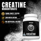 Ekkovision Creatine Monohydrate Powder Micronized

