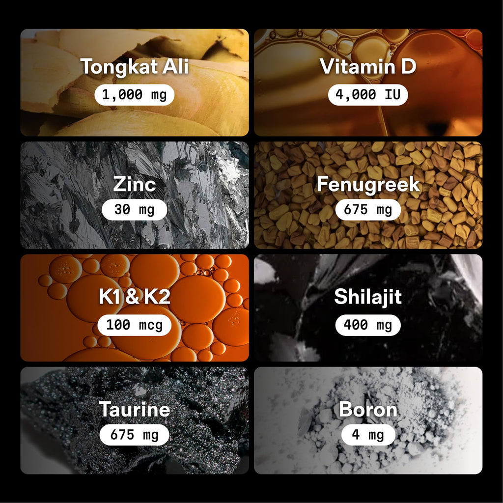 Testosterone Booster for Men with Tongkat Ali & Shilajit

