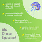 UpNourish Liposomal Vitamin Supplement Bone & Immune Support

