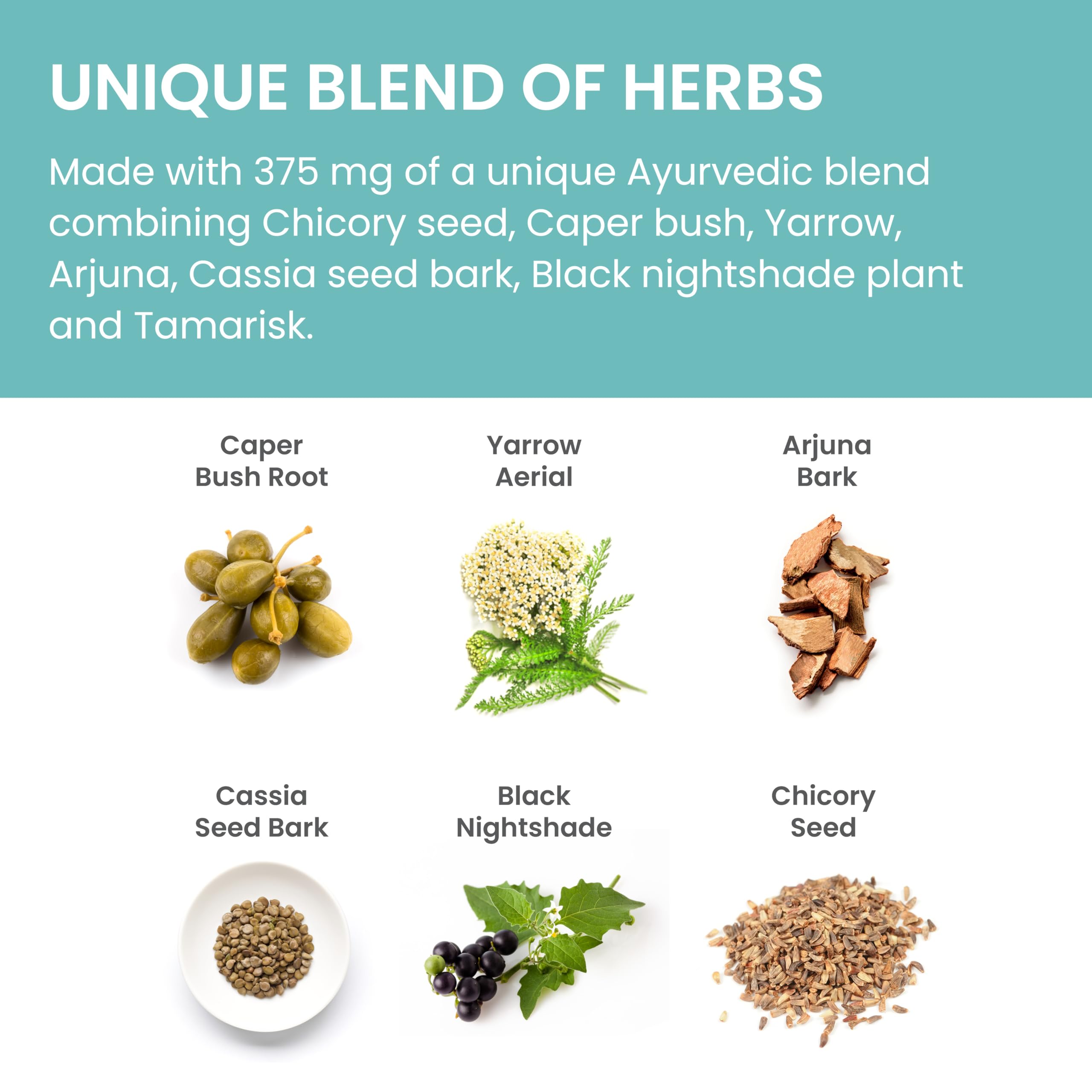 Himalaya LiverCare Herbal Liver Support | Detox & Wellness

