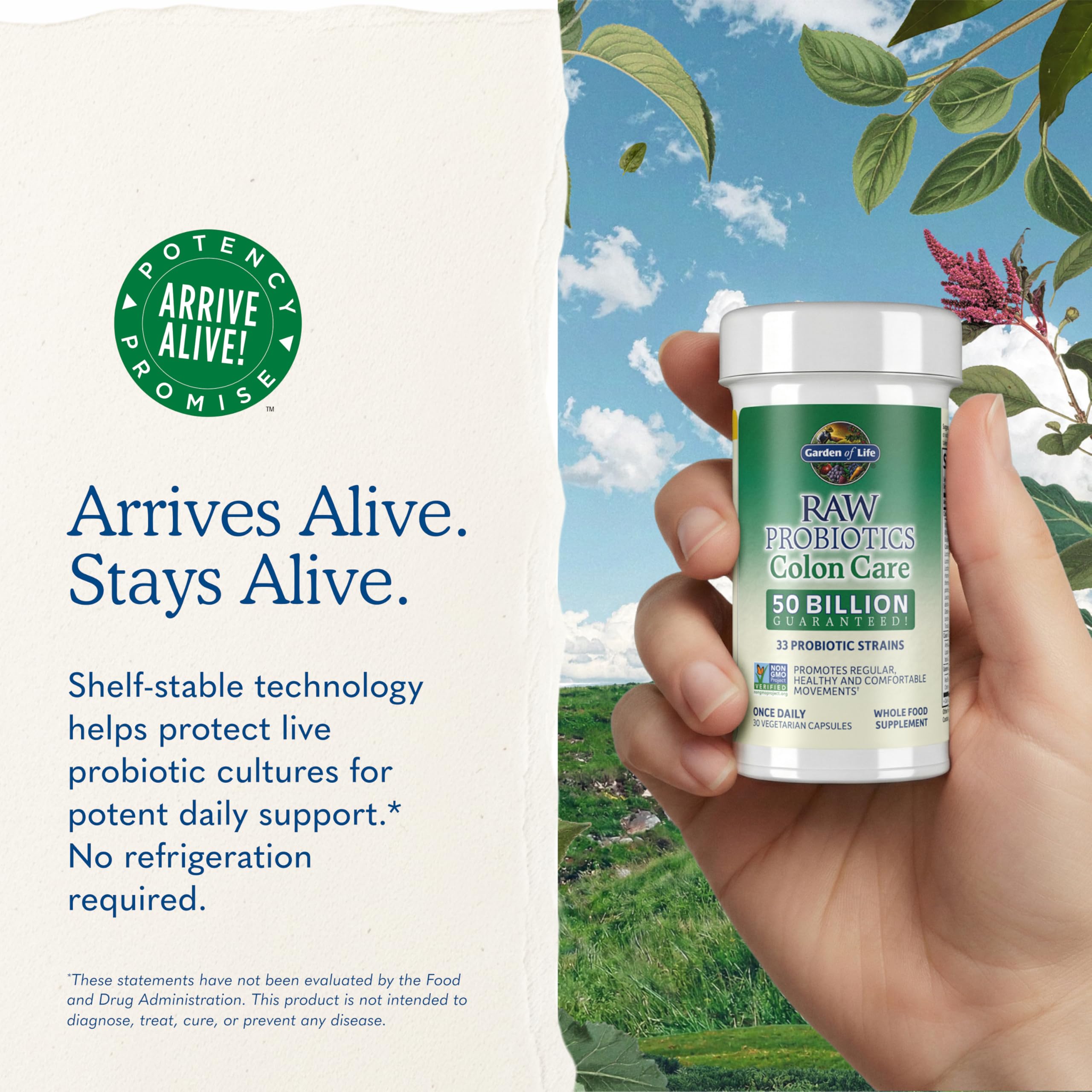Garden of Life Raw Probiotics Colon Care

