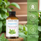 Majestic Pure Essential Oil with Dropper | Diffuser Use

