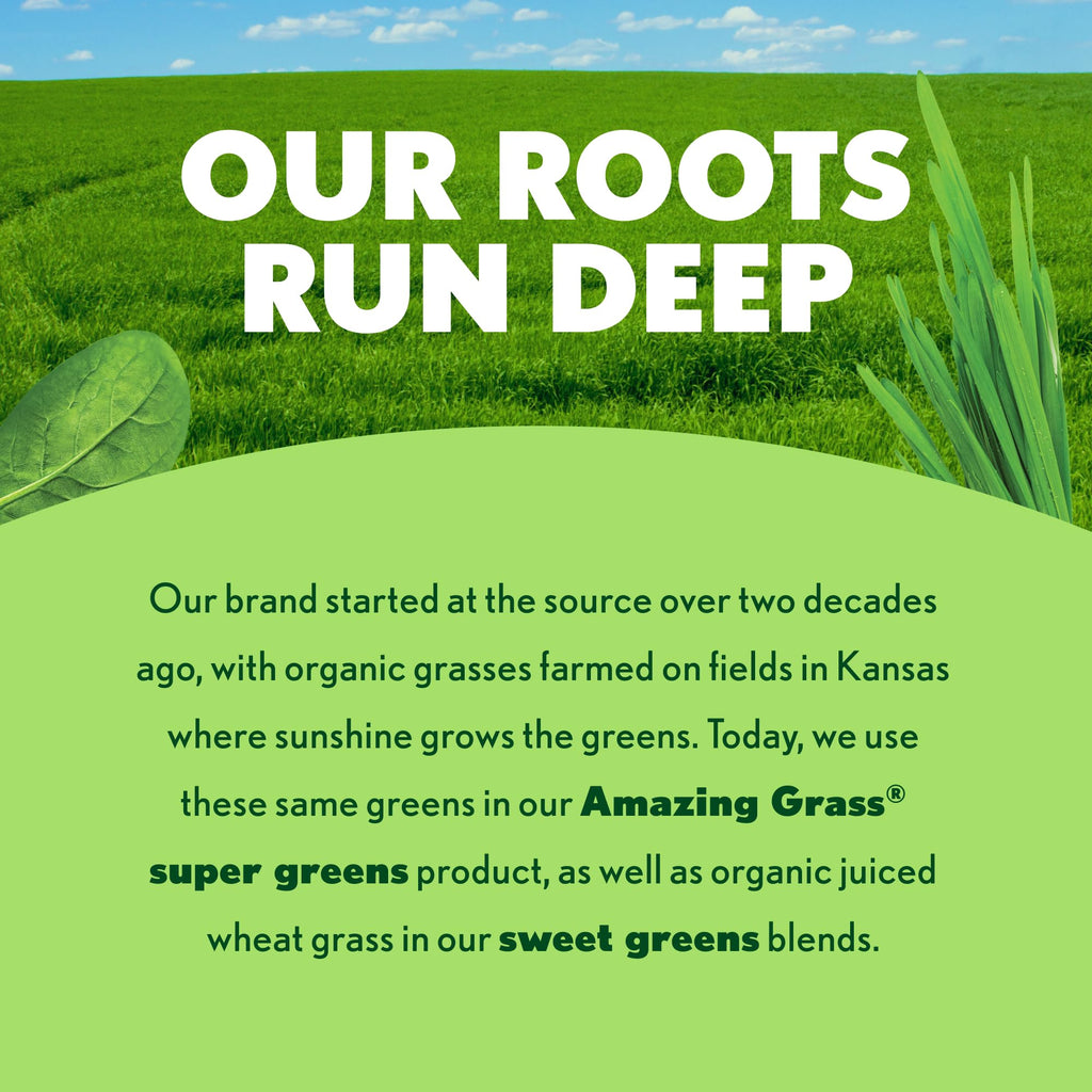 Amazing Grass Super Greens Organic Greens Supplement

