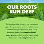 Amazing Grass Super Greens Organic Greens Supplement

