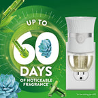 Air Wick Plug-In Scented Oil Refills | Universal Fragrance

