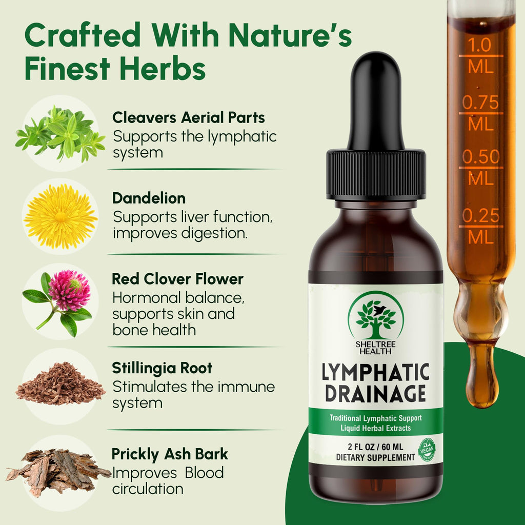Lymphatic Drainage Drops – Herbal Lymphatic Support

