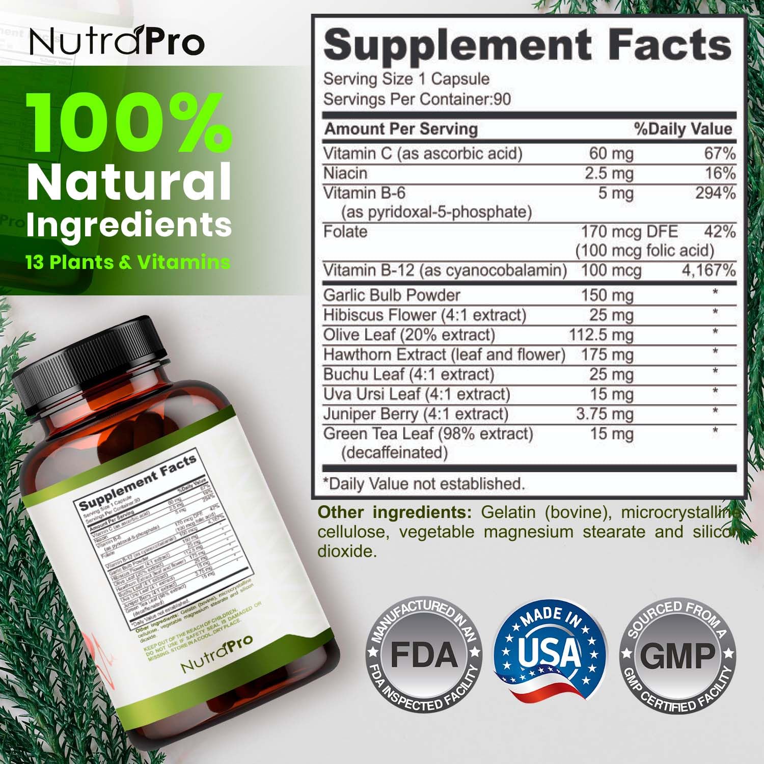 Heart Health Blood Pressure Support Supplement | Circulation

