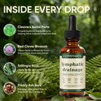 Lymphatic Drainage Drops for Bloat Relief | Vegan & Alcohol-Free

