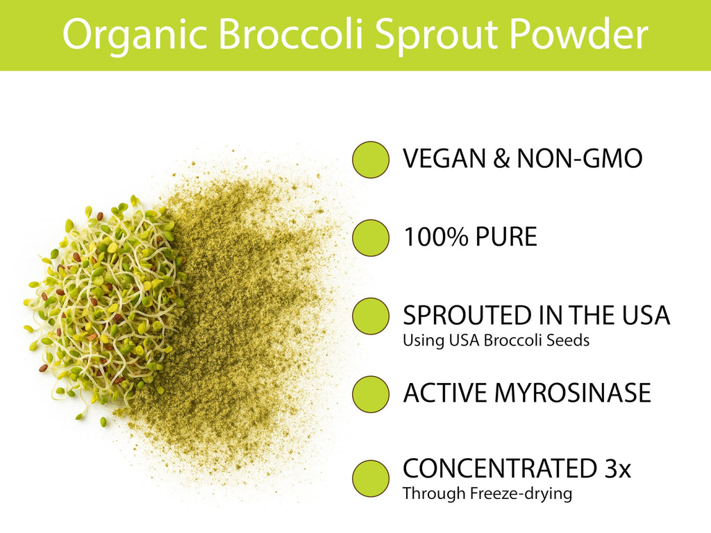 KOYAH Broccoli Sprout Powder | Easy Nutrition

