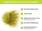 KOYAH Broccoli Sprout Powder | Easy Nutrition

