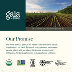 Gaia Herbs Liver Support Herbal Supplement

